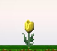 File:Yellow tulip.jpeg