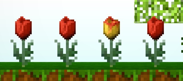 File:Tulip Garden.jpg