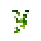 File:Vine Big.png