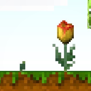 File:Young Tulip.jpg