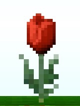 File:Mature Tulip Stem.jpg