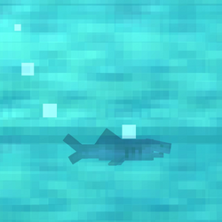 Young Shark.png