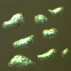 Tin Ore HD Big.png