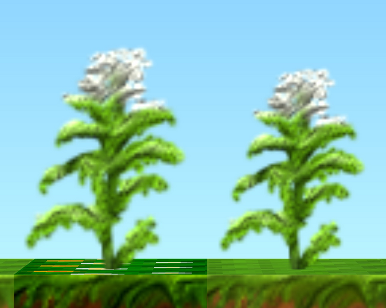 File:Carrot Plants HD.png
