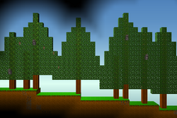 Pine Tree Forest.png