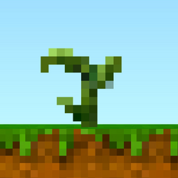 Sunflower Growing Big.png