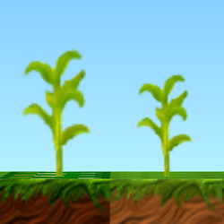 Young Corn HD.png