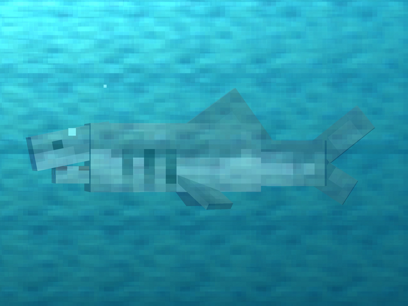 File:Adult Shark.png