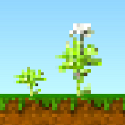 Carrot Plants Big.png