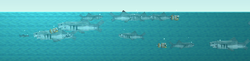 Shark Swarm 121.png