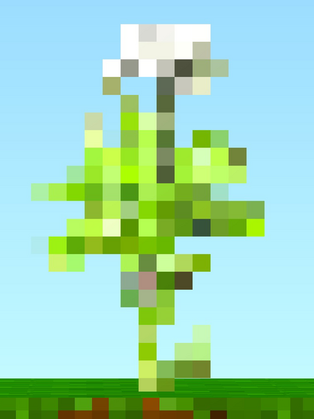 File:Carrot Mature Big.png