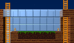 Greenhouse.png