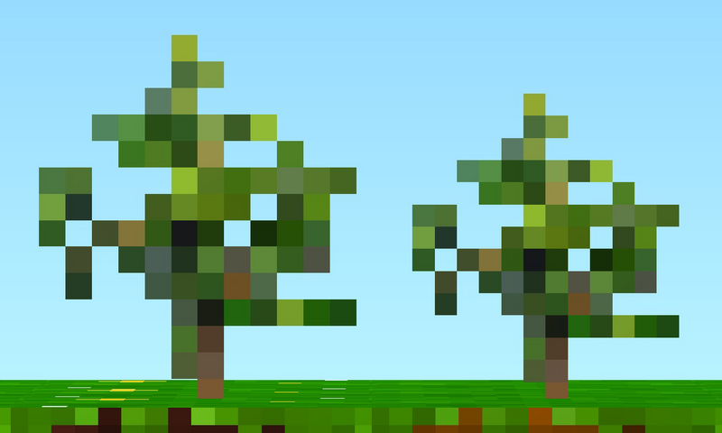 File:Young Chilli Plants.png