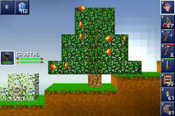 Oranges in orange tree.png