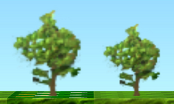 Young Chilli Plants HD.png