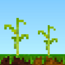 Young Corn.png