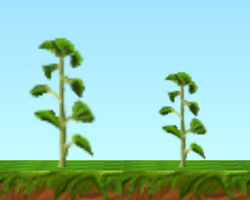 Young Sunflowers HD.png