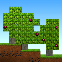 Coffee Cherry Tree HD.png