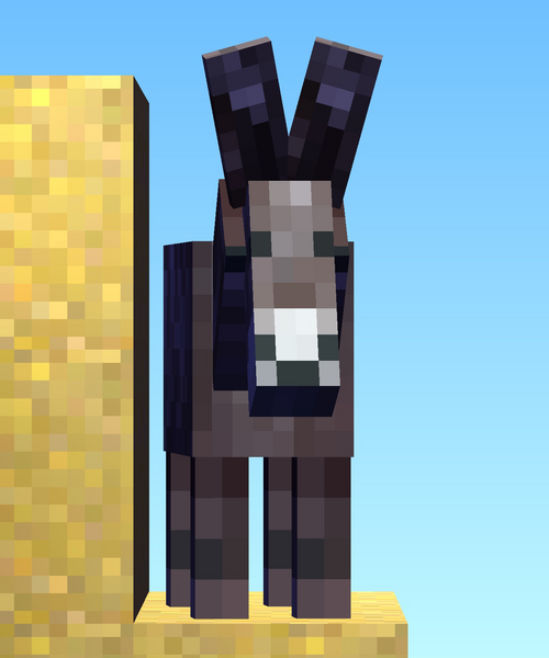 File:Donkey Front View.png