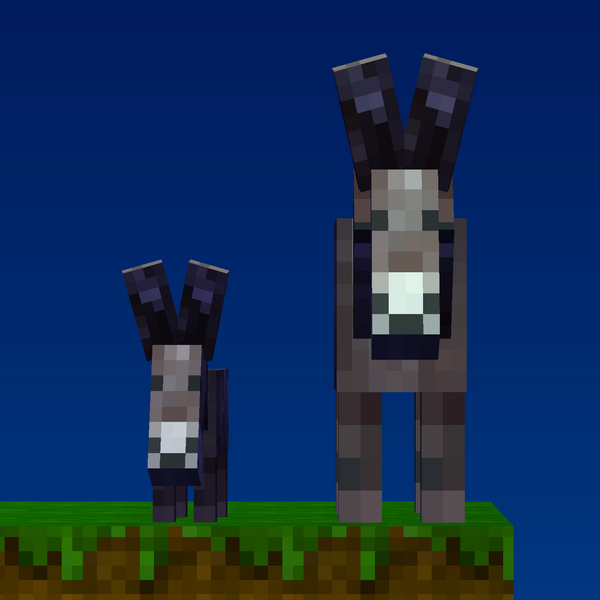 File:Donkey Pair.png