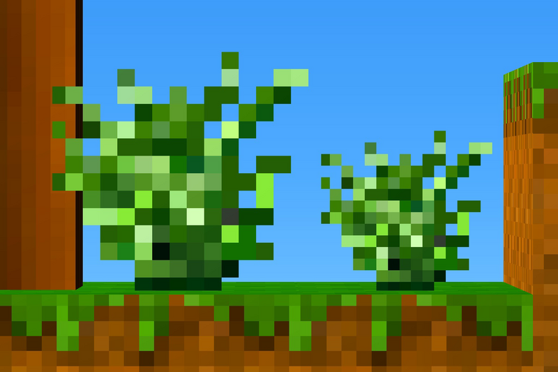 File:Young Flax Bush.png