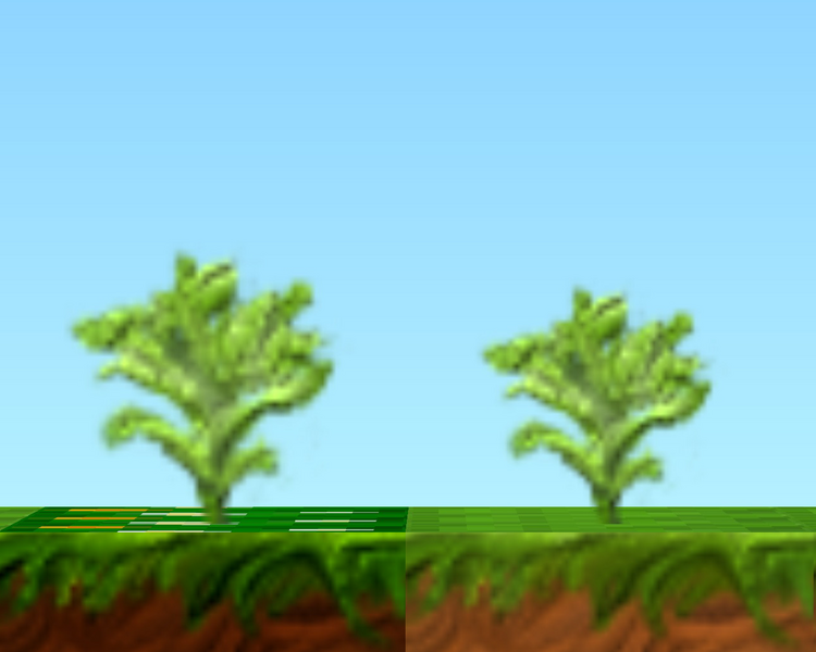 File:Young Carrot Plants HD.png